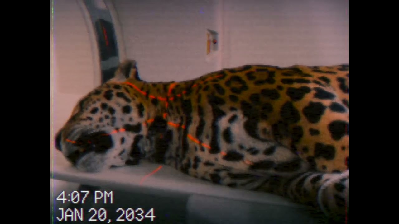 Found on a used SD card video thumbnail